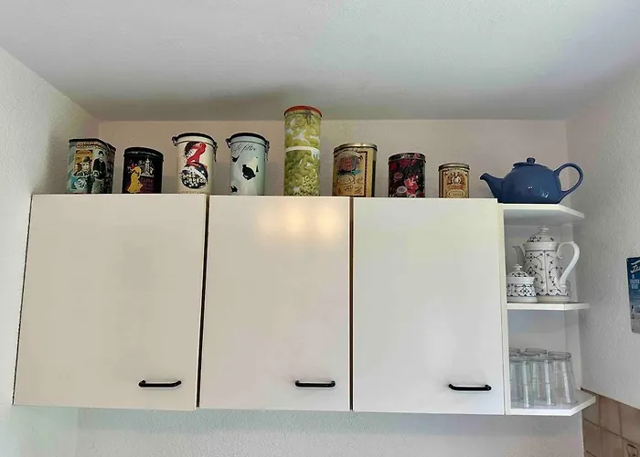 Geraeumig, Ruhig, Stadtnah, Naehe Europapark Apartment Freiburg im Breisgau